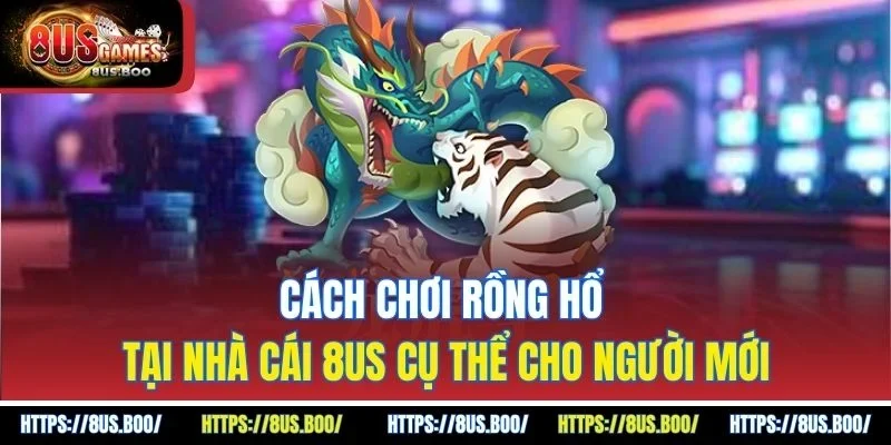 Cách Chơi Rồng Hổ Tại Nhà Cái 8US Cụ Thể Cho Người Mới