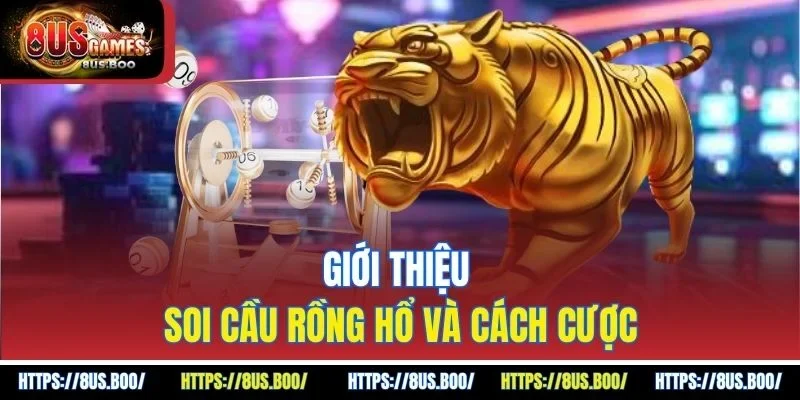 Giới thiệu soi cầu rồng hổ và cách cược