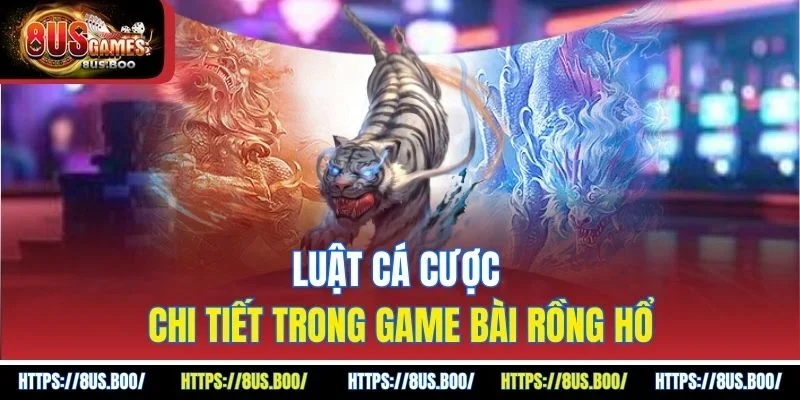 Luật cá cược chi tiết trong game bài rồng hổ